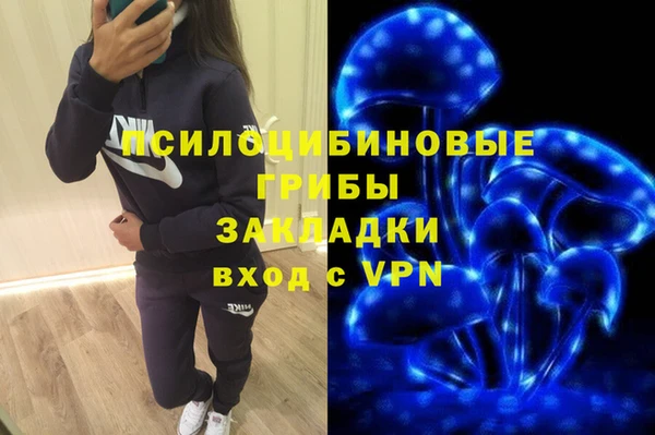 кокс Алексин