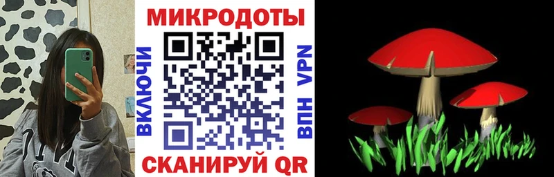 Псилоцибиновые грибы Psilocybine cubensis  Чухлома 
